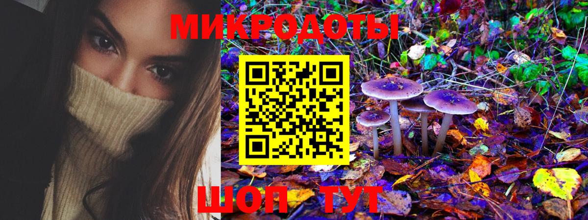 наркота  Псилоцибиновые грибы MAGIC MUSHROOMS  Миллерово  Вход с VPN  Галлюциногенные грибы Magic Shrooms 