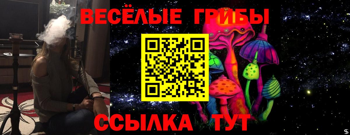 Псилоцибиновые грибы Magic Shrooms Миллерово